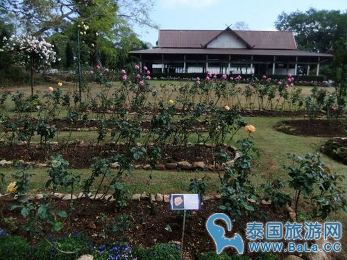 清迈蒲屏皇宫怎么玩?带你探访清迈最美花园行宫
