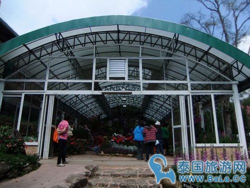 清迈蒲屏皇宫怎么玩?带你探访清迈最美花园行宫