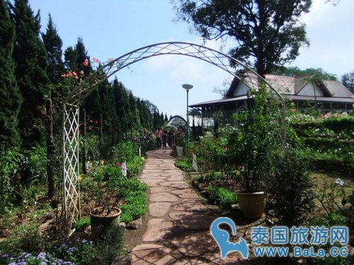 清迈蒲屏皇宫怎么玩?带你探访清迈最美花园行宫