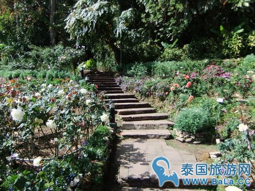 清迈蒲屏皇宫怎么玩?带你探访清迈最美花园行宫