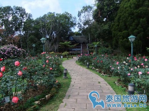清迈蒲屏皇宫怎么玩?带你探访清迈最美花园行宫