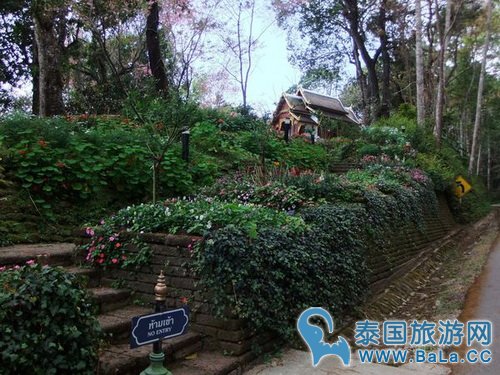 清迈蒲屏皇宫怎么玩?带你探访清迈最美花园行宫