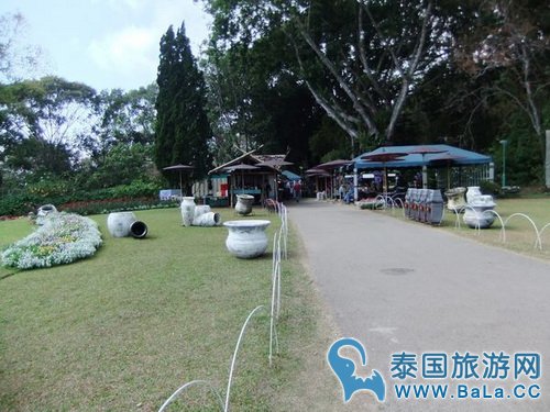 清迈蒲屏皇宫怎么玩?带你探访清迈最美花园行宫