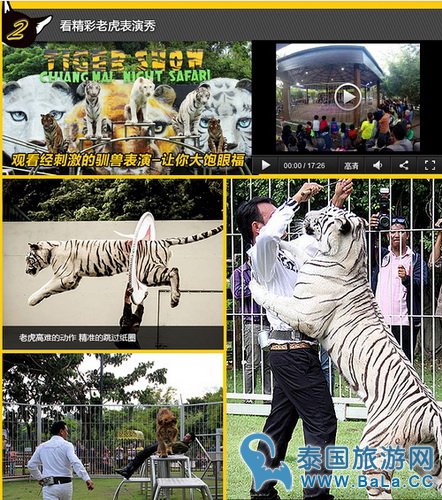 清迈夜间攻略详细版(交通、门票、官网、时间表)
