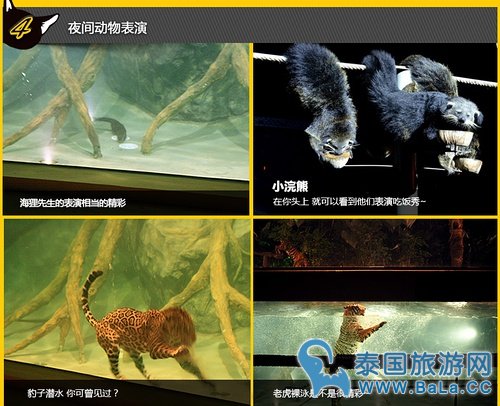 清迈夜间攻略详细版(交通、门票、官网、时间表)