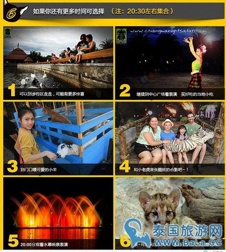 清迈夜间攻略详细版(交通、门票、官网、时间表)