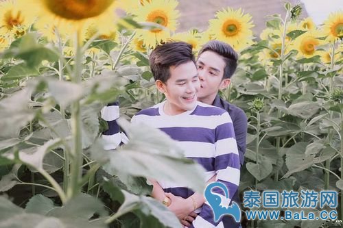 泰国高颜值的男男情侣cp 果然长得好看的都有男朋友了