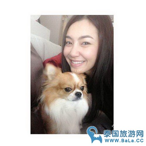 泰星Bella整容后照片 Bella整过容吗?