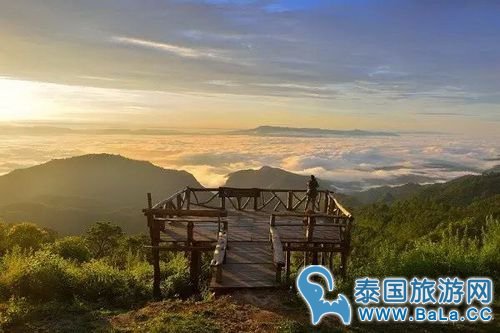 清迈樱花观赏攻略  没想到清迈还有这么美的地方