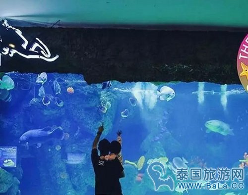 马六甲11个隐藏的好玩地方景点你都知道吗?
