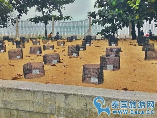 马六甲11个隐藏的好玩地方景点你都知道吗?