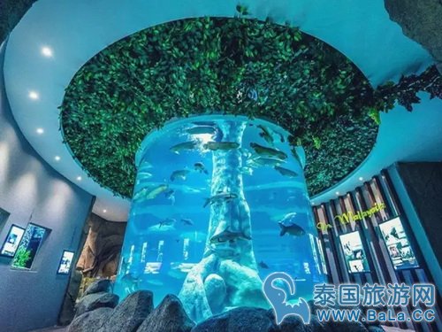 马六甲11个隐藏的好玩地方景点你都知道吗?