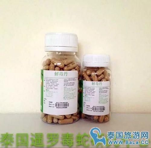 泰国蛇药解毒丹怎么样?价格和功效如何?