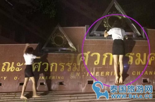 泰国男生供不应求 女大学生爬男校咬标志牌求脱单