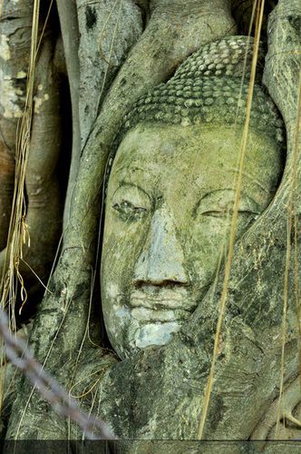 泰国必去的6大寺庙 求才求子看风景最佳