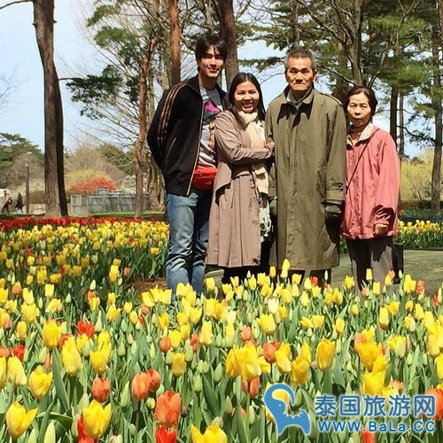 nadech爸爸得了什么病?