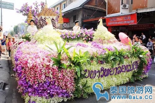 清迈鲜花节有什么活动？怎么玩最过瘾？