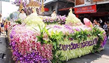 清迈鲜花节有什么活动？活动地点在哪里？