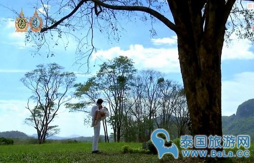 mik和pim泰星真吻都在第几集?霸道黑帮老大爱上我吻戏合集