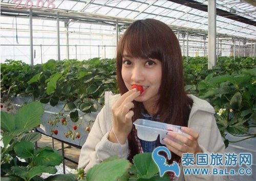Taew童年时代和学生时代早起图片集
