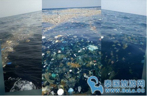 泰国湾垃圾飘满海面 美丽湾成垃圾湾