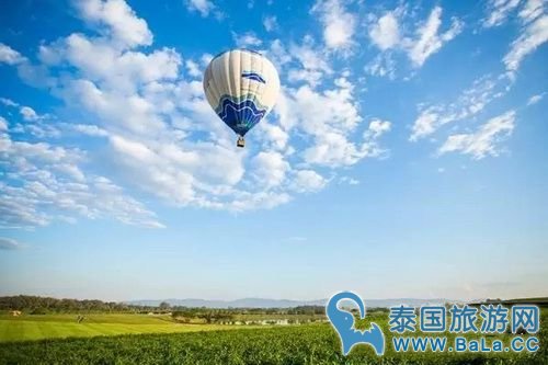 清莱热气球节本月14至18日在Singha Park盛大开幕