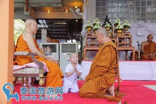泰国超萌小沙弥Nongkorn叩拜新僧王 萌化了！