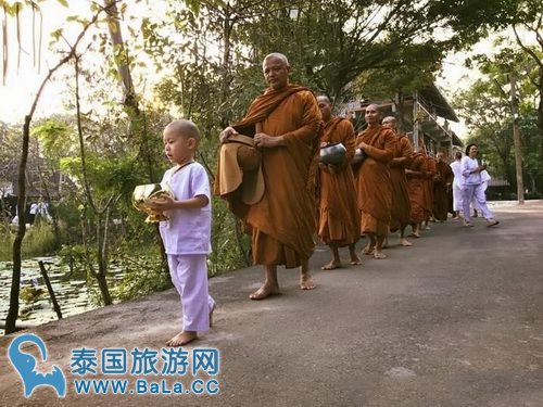 泰国超萌小沙弥Nongkorn叩拜新僧王 萌化了！