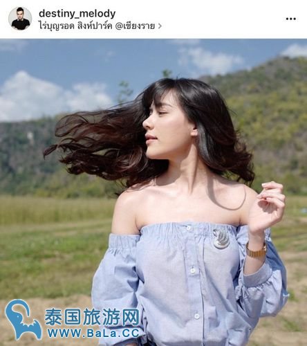 天鹅套索2016大结局是怎么样的?提前看天鹅套索剧透!