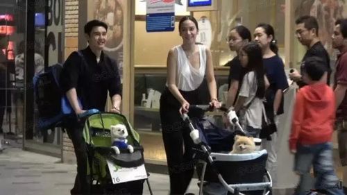 AumP与绯闻富豪男友Flook遛狗吃饭被跟拍 坦言还不是男友