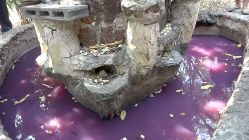 寺庙的井水现紫色圣水？村民相信可治百病