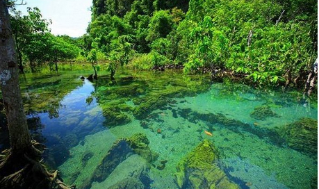 泰国甲米府翡翠池旁新景点：双色宋南河景观