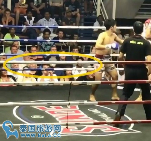 小李子低调游泰粉丝未察觉 遗憾表示未见到本尊