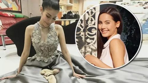 Nadech家的狗狗生啦!Whan 点名yaya等人给狗宝宝取名字
