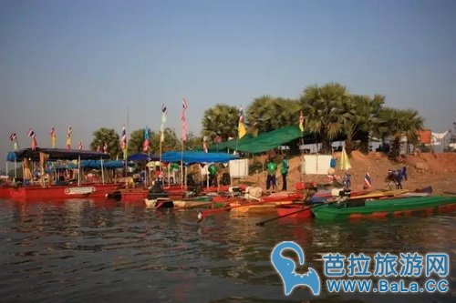 泰国乌隆他尼红莲什么时候开?泰国赏红莲攻略