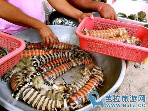 宿雾哪里吃海鲜好？宿雾超赞的物美价廉海鲜餐厅推荐