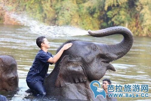 泰星Nine Naphat与大象亲密互动 水中嬉戏阳光帅气