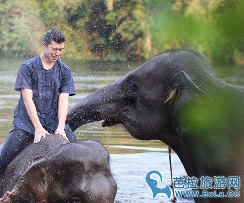 泰星Nine Naphat与大象亲密互动 水中嬉戏阳光帅气