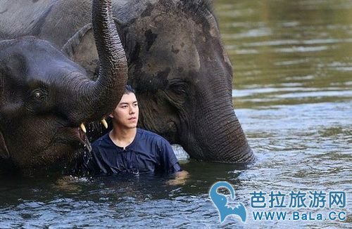 泰星Nine Naphat与大象亲密互动 水中嬉戏阳光帅气