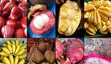泰国有什么水果？什么时候的水果最好吃？