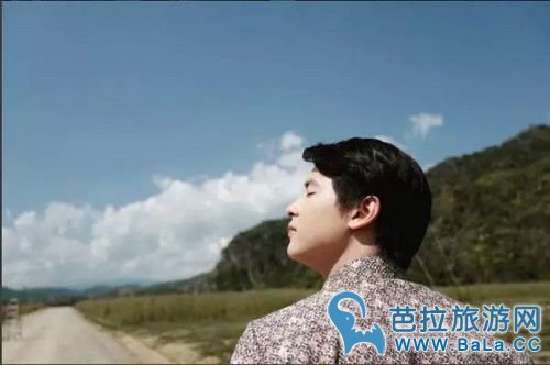 Ins上泰国人气最高的男明星排行榜