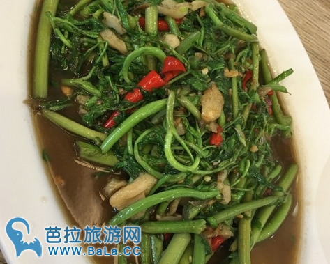 泰国特色菜—炒含羞草