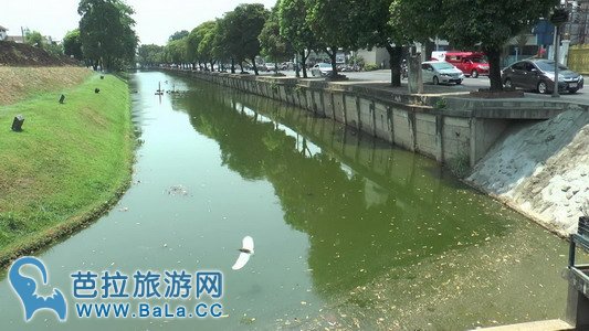 清迈护城河水质严重退化 不适合用为泼水节泼水