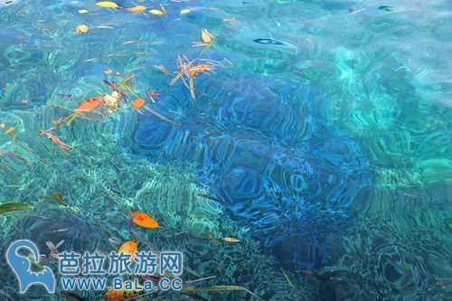 菲律宾最好的潜水圣地-巴里卡萨岛大断层 上演史诗级震撼