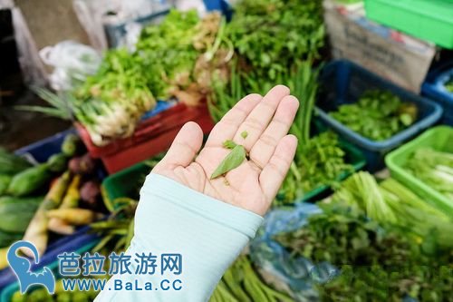 曼谷蓝象餐厅厨艺课程怎么样?值得去学吗?