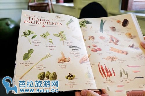 曼谷蓝象餐厅厨艺课程怎么样?值得去学吗?