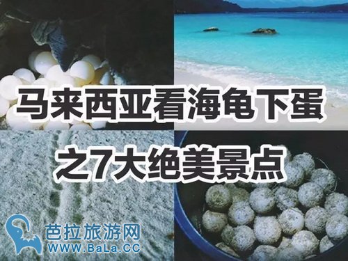 马来西亚海龟下蛋聚集的7大绝美海滩