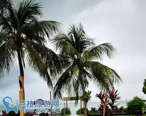 马来西亚有什么特色节日?12个月每月都有特色节日