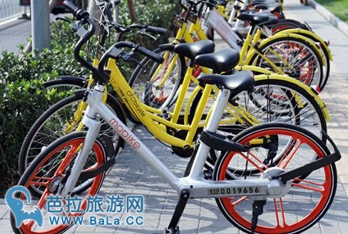 共享单车有望进驻泰国曼谷、清迈、普吉等城市