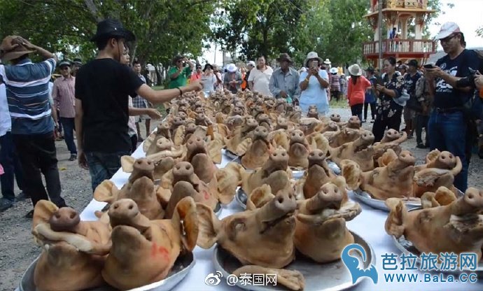 泰国男子摆100个猪头和999枚鸡蛋寺庙还愿引村民围观